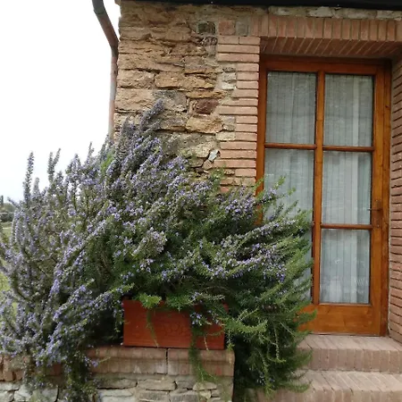 Agriturismo Villa Buoninsegna-3